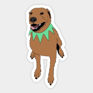 Grateful Dawg Orange Sticker